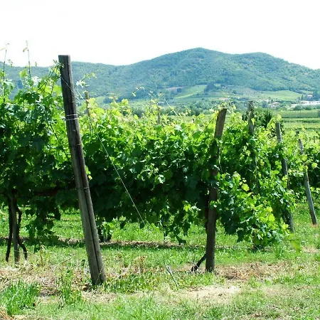 Farm stay La Scuderia *